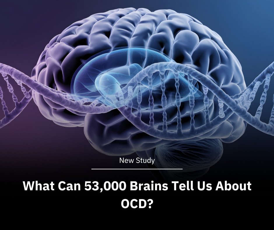 Norman Fixel Institute for Neurological Diseases tweet media