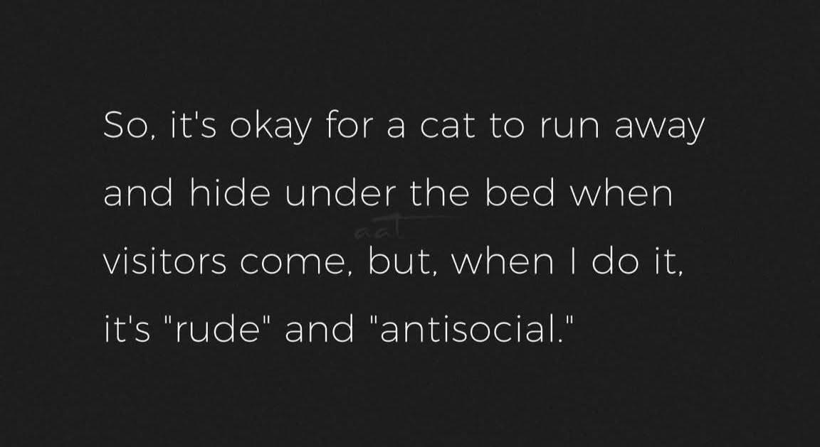LeeMSnow's tweet image. 😾 My cat hides during company: “Aw, she’s shy.”
🙋‍♀️ I do it: “You’re so antisocial.”
🕳️ Double standards, I tell you.
#IntrovertLogic #CatPrivileges