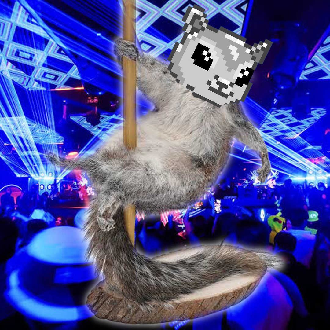 A good day to mint 🐿️
An amazing idea to hold 🐿️
pnut-base.nfts2.me