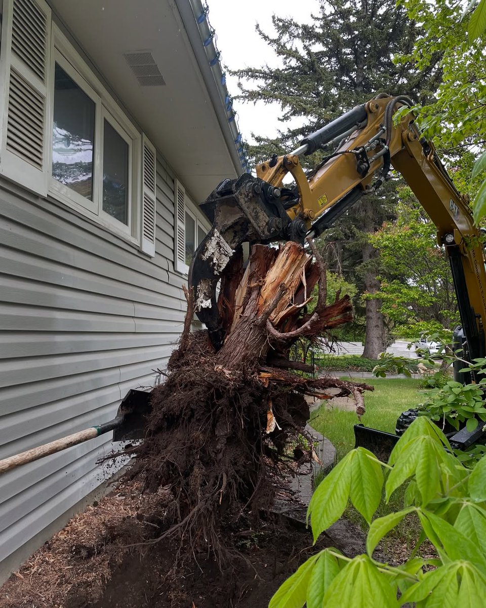 Starting the week off strong with a stump removal by CMI Compact Excavating Inc. The 303.5 makes quick work of these two cedar stumps that were in close proximity to the house. Equipped with a Frost Ripper and a thumb attachment, this setup made short work of a tricky job.