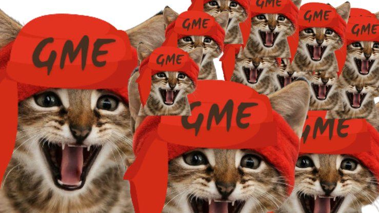 GMECAT tweet media