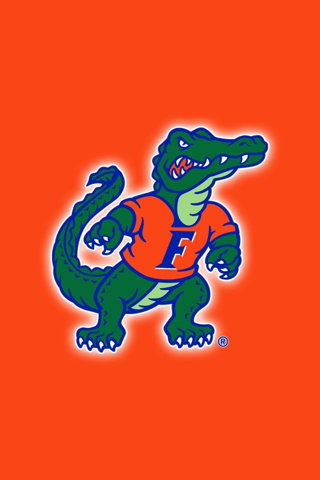 KJackson55315's tweet image. I will be at the University of Florida Friday ready to show off my talents!!#GoGators
@coach_bnapier @CoachBillyG
@esquire04