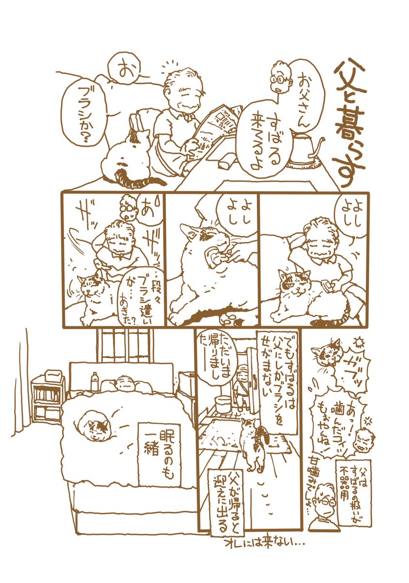 jonny_byc's tweet image. すばるまとめツリー
(いるだけの回もあり)