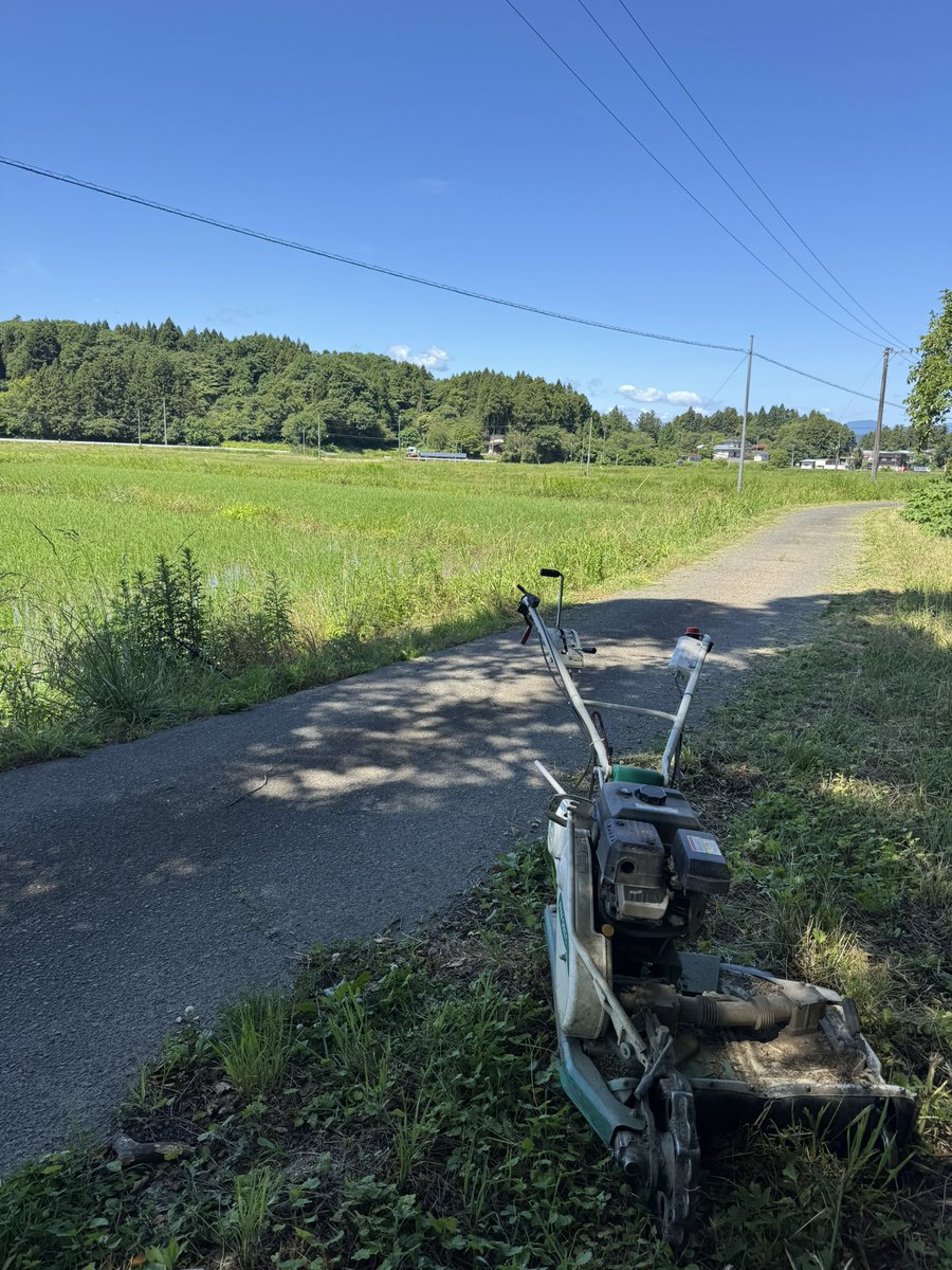 831Fmike's tweet photo. 草刈り中だけど暑すぎる…
現在31℃ https://t.co/dNuCebxQdw