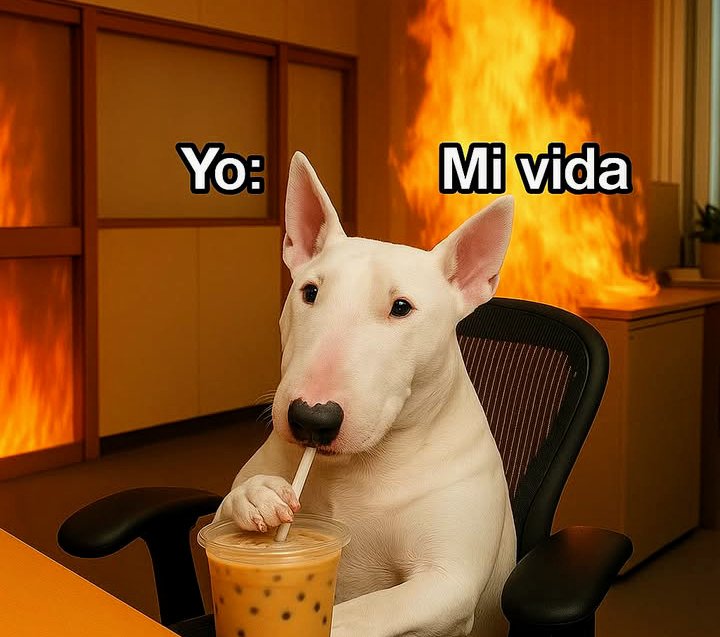 🧋