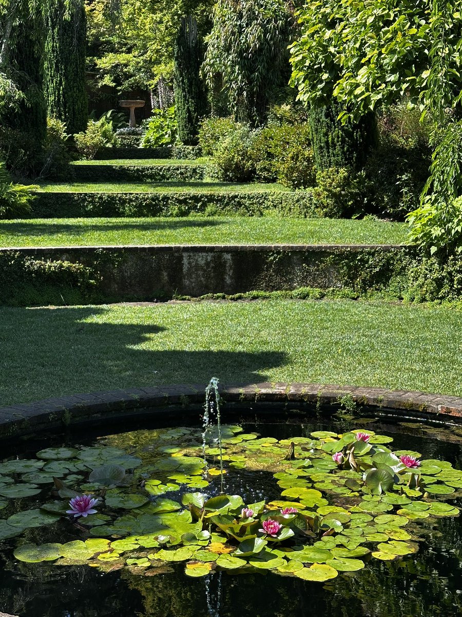 So many beautiful spots at Filoli <a href="/_filoli/">Filoli</a> #gardens #reflecting #waterlilies