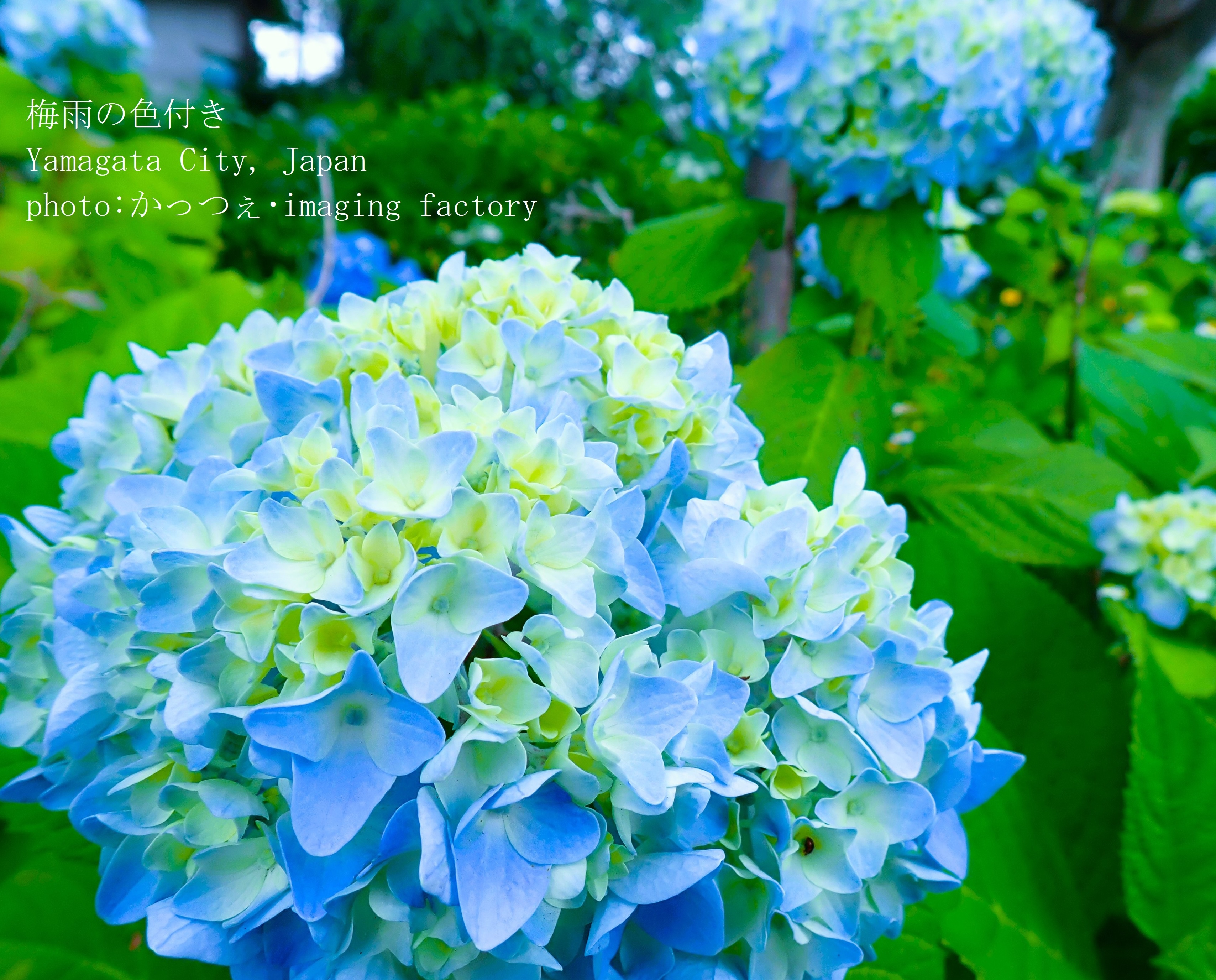 かっつぇ・imaging factory on X: 