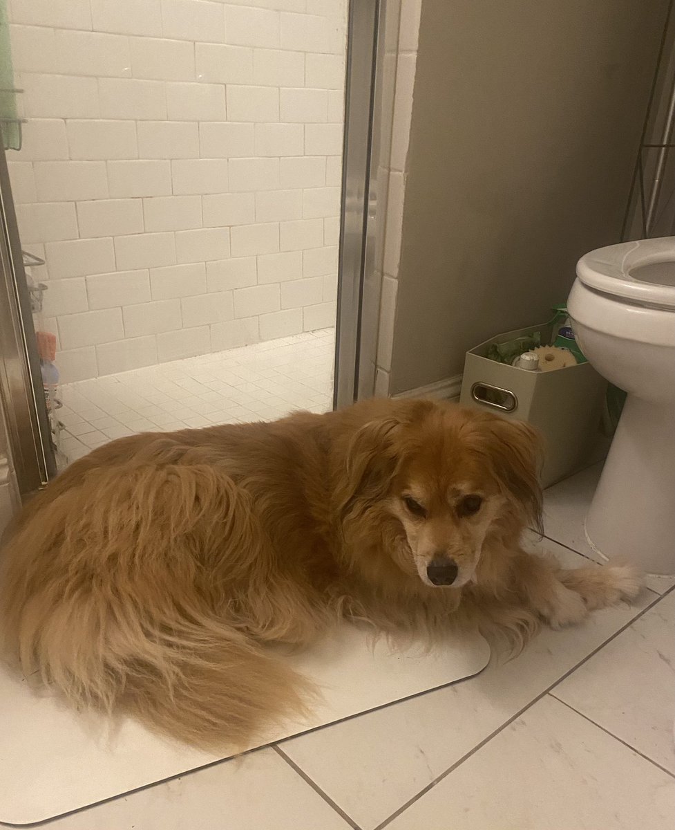 Here in Chapel Hill we are having a terrible thunder and lightning storm. My dog won’t come out of the bathroom.