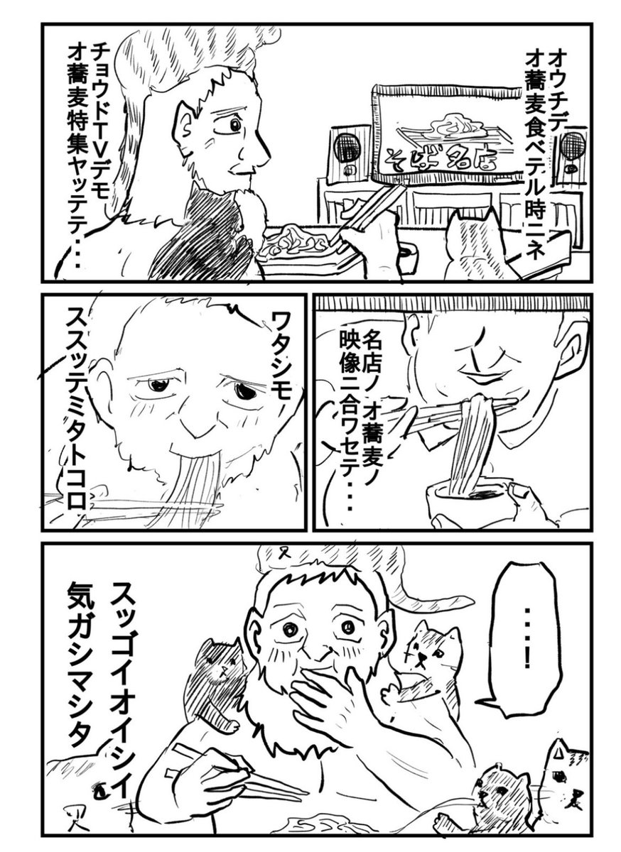 ゼヒヤッテクダサイ 