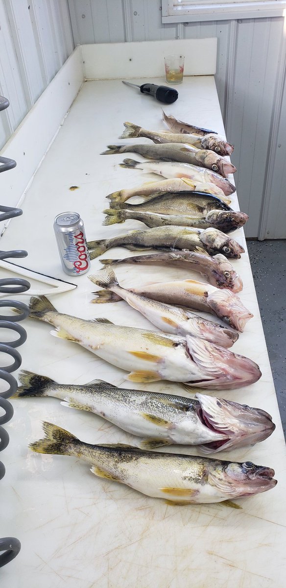 JaredK's tweet image. 