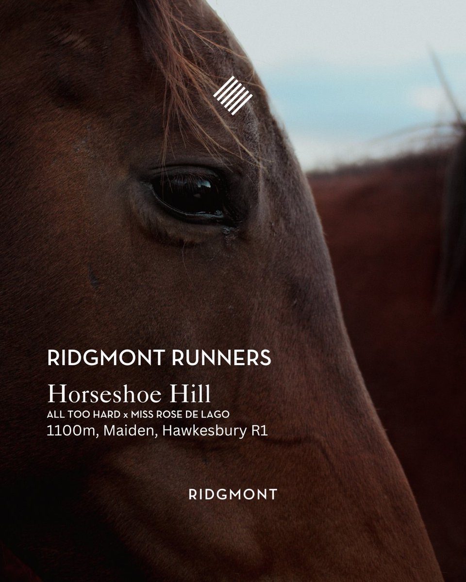 Ridgmont Runners | 17.06.25

Horseshoe Hill (All Too Hard x Miss Rose de Lago) 
1100m, Maiden, Hawkesbury R1

#ridgmont #sharedsuccess #ridgmontrunners