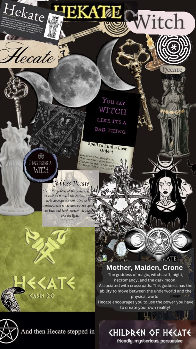 Pagan Panther Witches tweet media