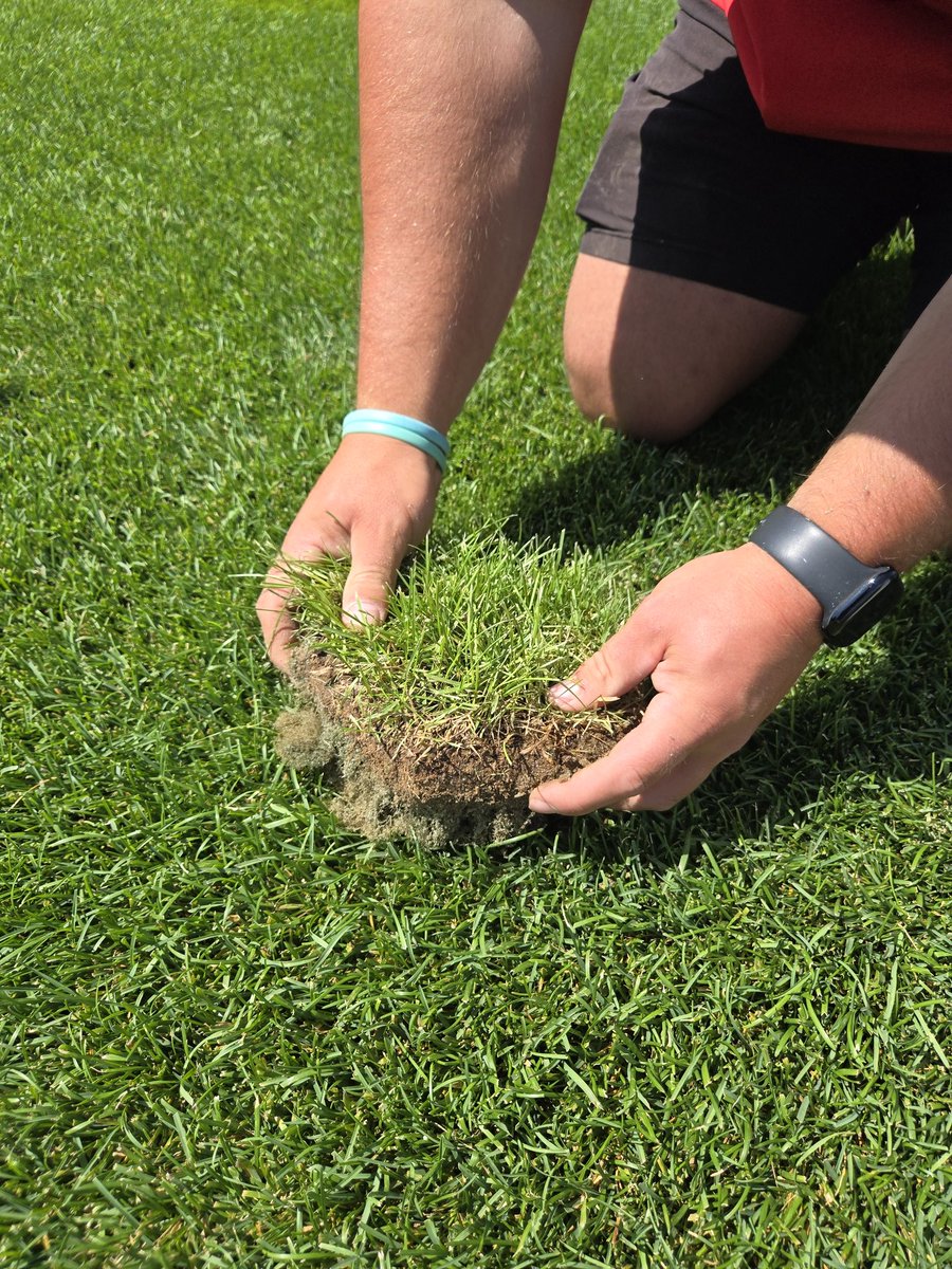 WooSox Grounds Crew tweet media