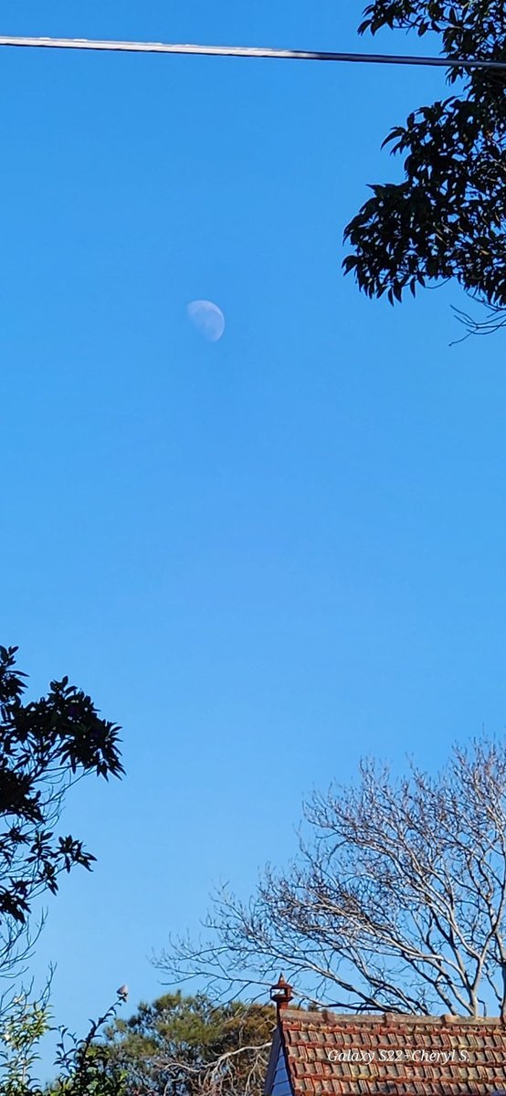 CherScheff's tweet photo. Tuesday morning Moon on its way to set.
#MoonHour 
#JuneMoon 
Street view. https://t.co/rqFJGqKIll