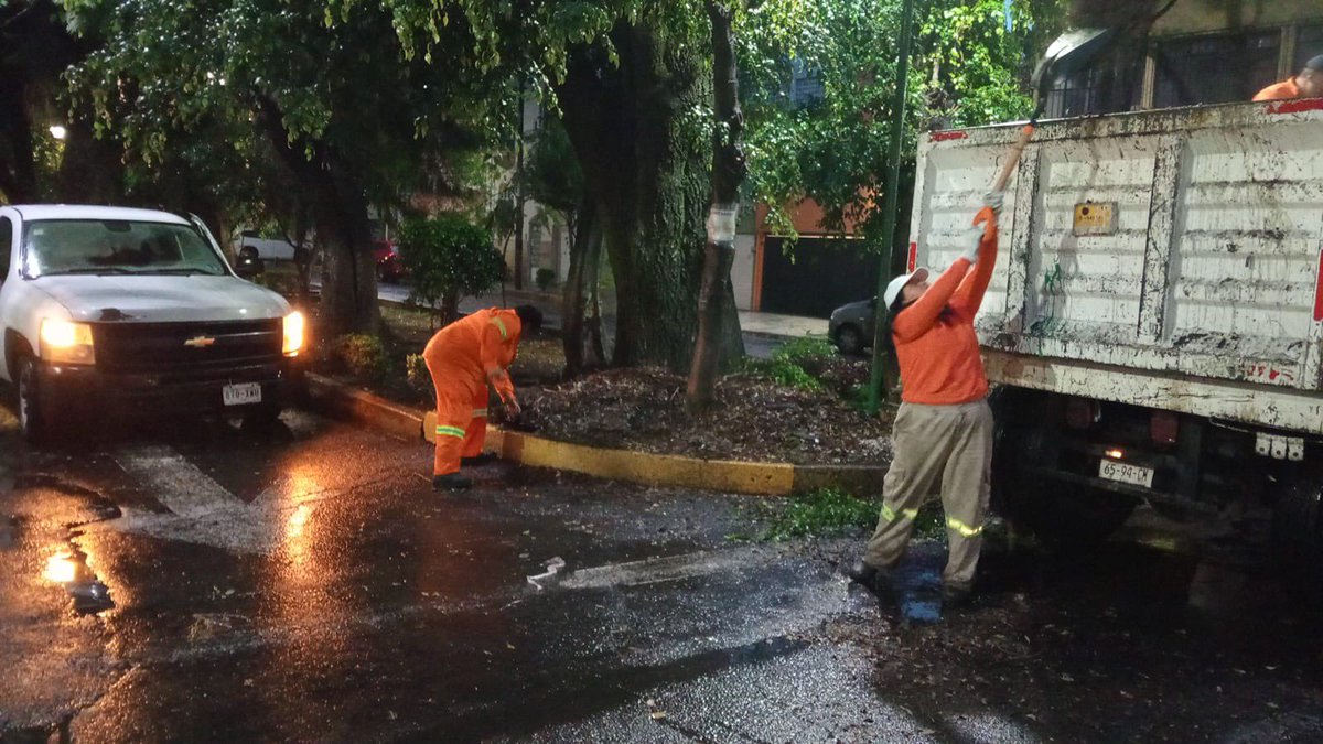 🌳 Ya se atiende la caída de un árbol sobre el camellón en Clavelinas colonia #NuevaSantaMaría.

Equipos de la Dirección General de Servicios Urbanos, incluyendo Alumbrado Público, Parques y Jardines y Limpia, trabajan en el retiro de ramas y aseguramiento del área. 

Seguimos