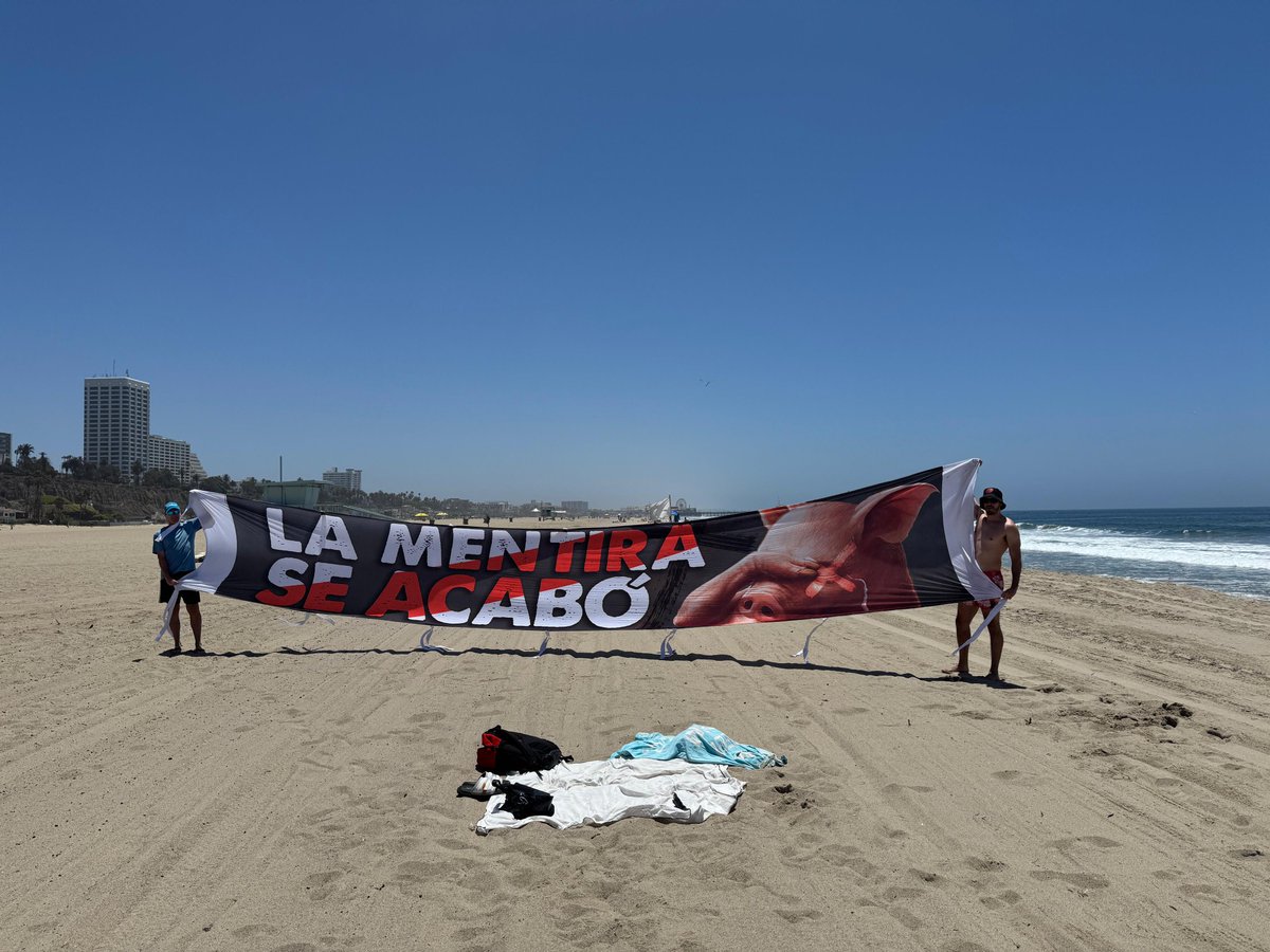 GLORIA ETERNA 91218 tweet media