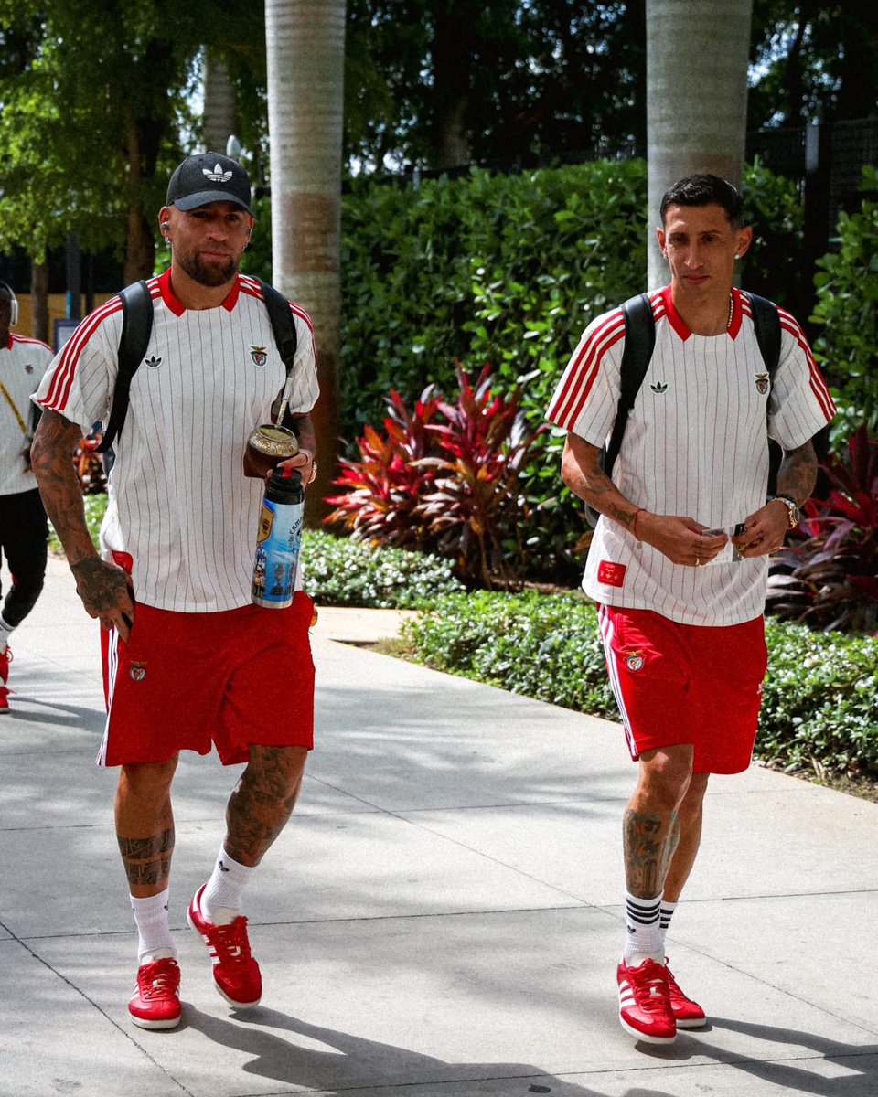 Ota &amp; Di Maria