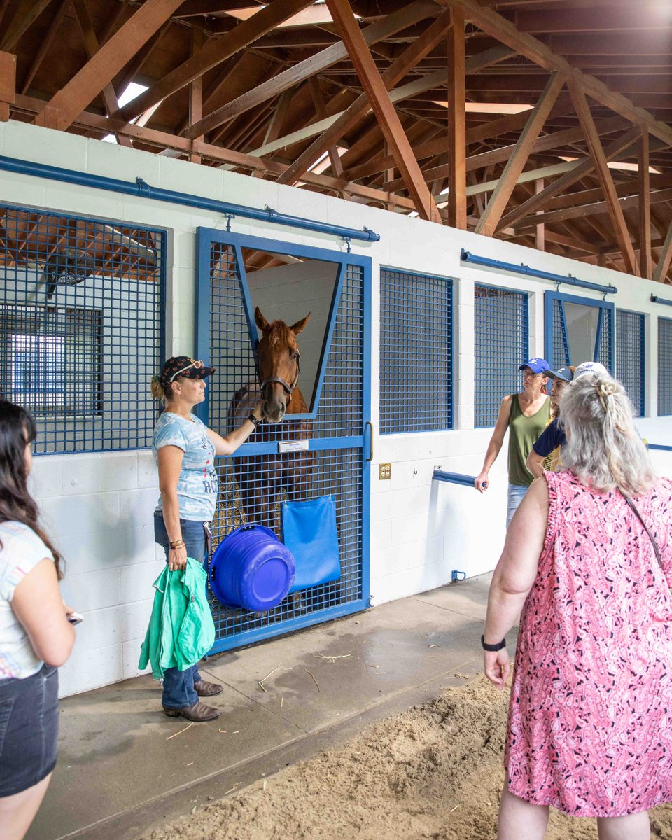 Pin Oak Stud (@pinoakstud) on Twitter photo Thank you to everyone who joined us for <a href="/KYHorseCountry/">Horse Country</a>'s "Meet The Neighbors" annual event this past weekend! We welcomed 80 guests across 8 tours to meet our mares, foals, racehorses, and Friesians. ππ΄
Missed it? Donβt worry! We offer tours year-round. Come visit us soon: Thank you to everyone who joined us for <a href="/KYHorseCountry/">Horse Country</a>'s "Meet The Neighbors" annual event this past weekend! We welcomed 80 guests across 8 tours to meet our mares, foals, racehorses, and Friesians. ππ΄
Missed it? Donβt worry! We offer tours year-round. Come visit us soon: