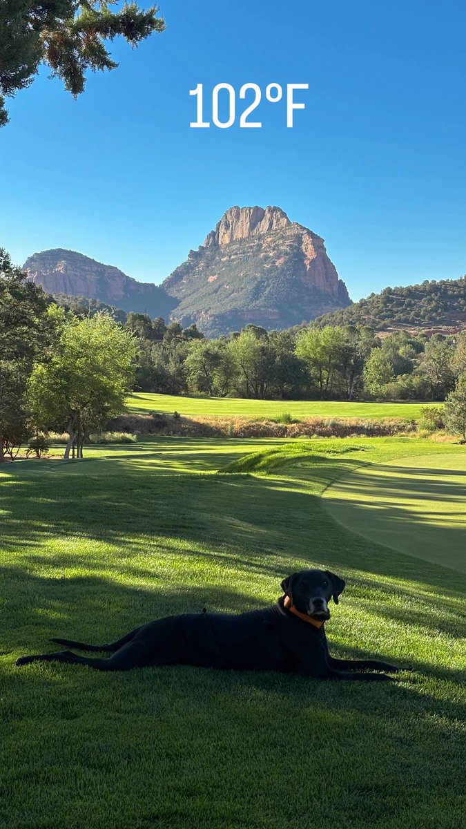 Em Casey tweet media