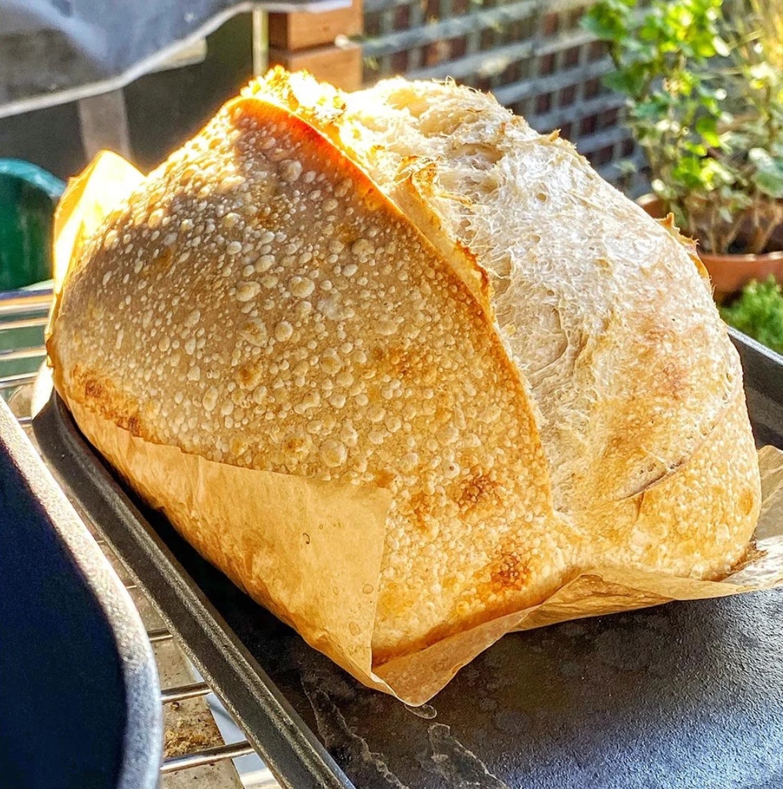 When you purchase a Pay It Forward // OG Loaf, you're not just getting one beautiful sourdough, you're giving one too. 🍞 One loaf is for you and the other is donated to a nonprofit, helping feed someone in need. 

Click the link below to pay it forward!
rizeupsourdough.com/collections/al…