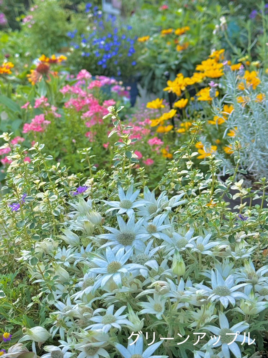 綠意家園 以善為本、以福為心.imj