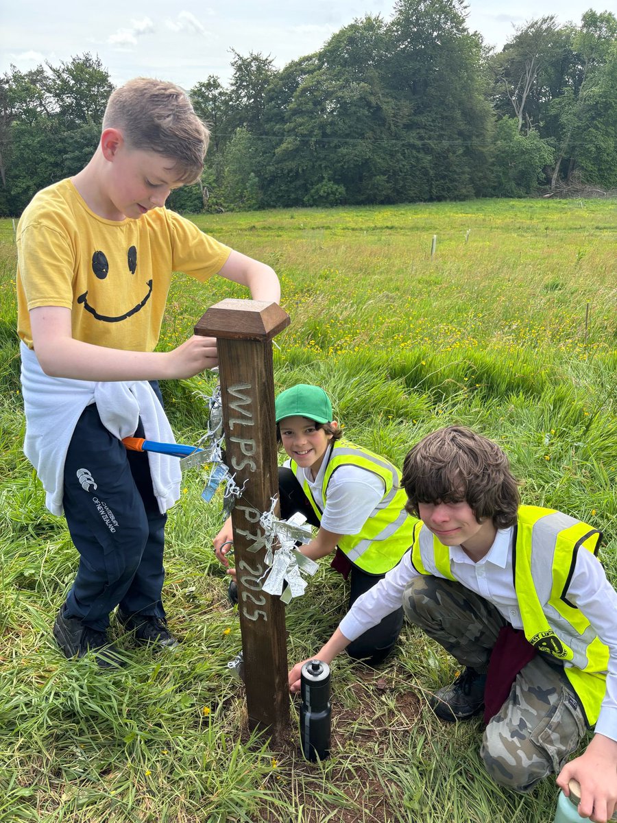 An amazing afternoon at Roamers Wood for our Primary 7 classes. A fitting close to their learning experiences there - planting a trees, building dens, drawing what they see and adding a post that reads ‘WLPS P7 2025’. 
This community space truly is everyone’s.
