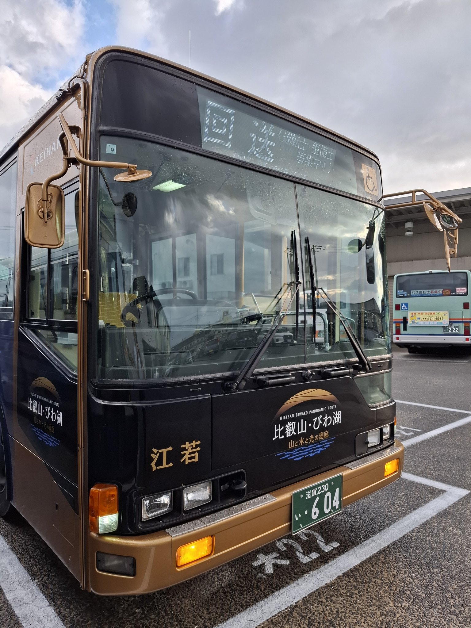 【公式】アクセサリーの激安通販 KC-MP717MT on  X: 時計