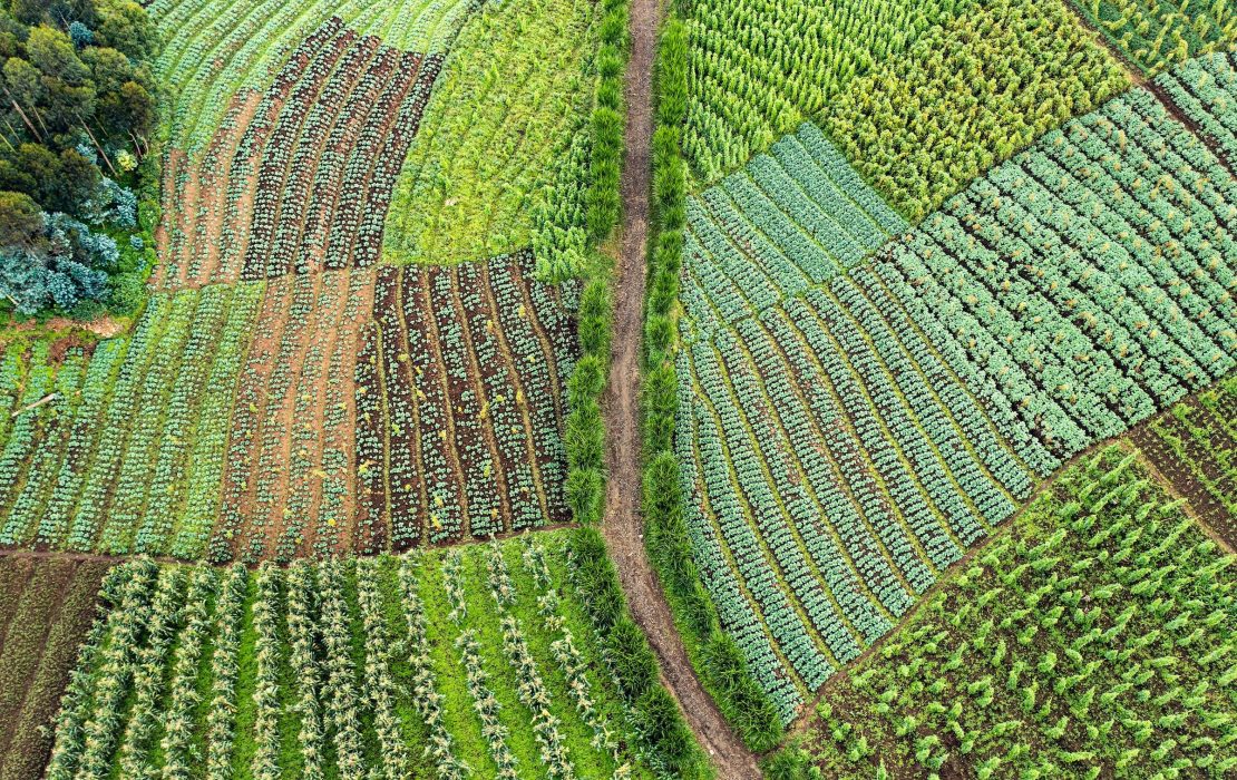 Las ciudades tienen el poder de transformar los sistemas alimentarios: reducir pérdidas, reutilizar subproductos y mejorar la seguridad alimentaria. Conoce las acciones que impulsan sostenibilidad y bienestar urbano: go.undp.org/Uhf