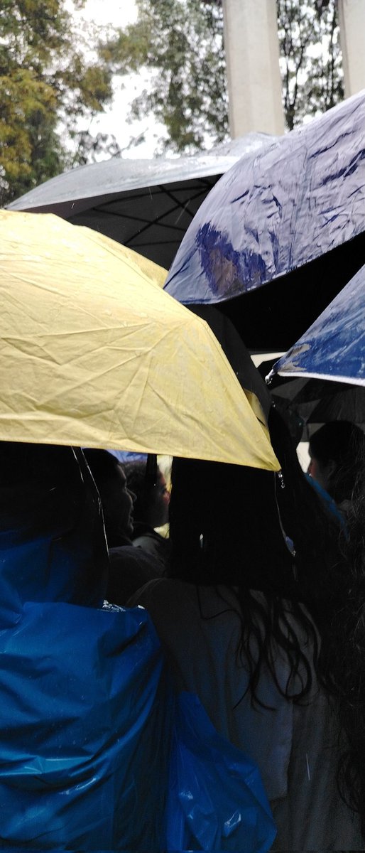 τħαℓყAɳ Gɾҽყ Pυɾɾɾƙιɳʂ ʚïɞ ✿ ♪ tweet media