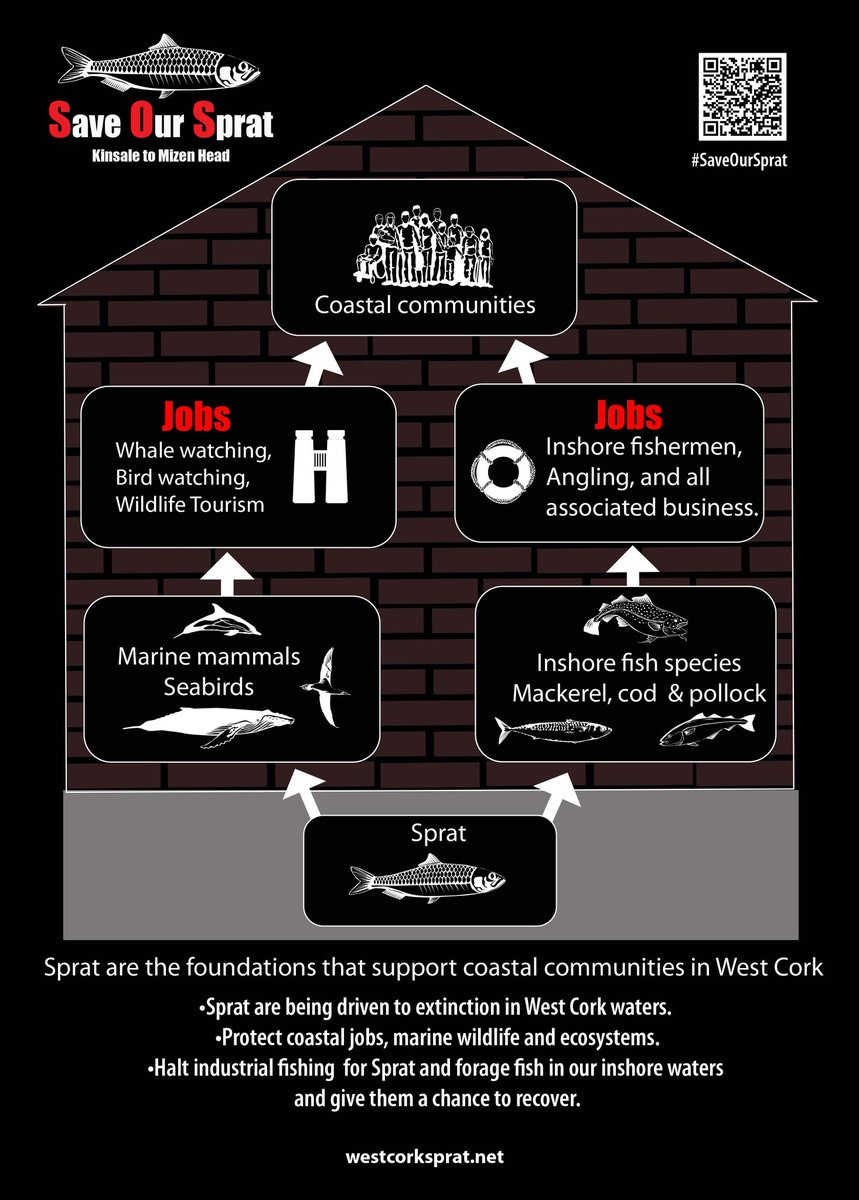 SaveOurSpratWC's tweet image. Sprat are the foundation of our coastal communities.
We are calling for a moratorium on sprat fishing, immediately!!
SAVE SPRAT, SAVE MARINE WILDLIFE, SAVE COASTAL COMMUNITIES!
#westcork #cork #saveoursprat #castletownbere #clonakilty #Skibbereen Graphics by William Helps.