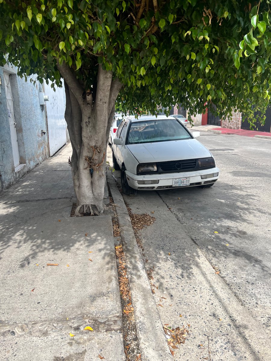 Roselilla's tweet photo. Su ayuda @GdlMovilidad @JaliscoVial para quitar auto jetta blanco placas JHR 4417 abandonado por meses en Jorge Del Moral 3171 entre Cenobio Paniagua y Manuel M Ponce en Guadalajara https://t.co/La9tcguyc9