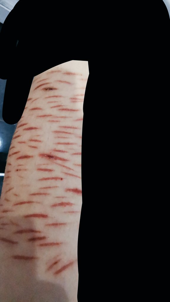 _slitartery's tweet photo. hey yall PLEASE MOOT ME UP PLEASE PELASE PELASE PLEASE PLEASE PLEASE PLEASE PLEASEthis is my alt i need followers

#shtwt #barcodetwt #slittwt #cuttwt #beanstwt #styrotwt #beanscut https://t.co/3xxm9snukH