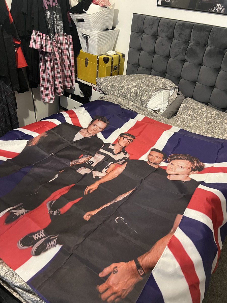 KatrinaMcFly's tweet photo. Goodnight godbless from me and my giant McFly flag x https://t.co/gxd46cGyzB