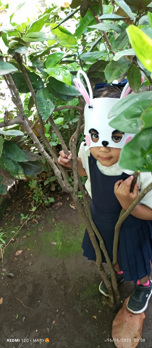 Niños y niñas de educación inicial exploraron el fascinante mundo de la naturaleza mediante teleclases interactivas sobre el ciclo de vida de los animales.
🔍 Lo que descubrieron: 🐛→🦋   
✔️ Diferencias entre mamíferos, aves e insectos🦁🐦🐜  
#Nicaragua