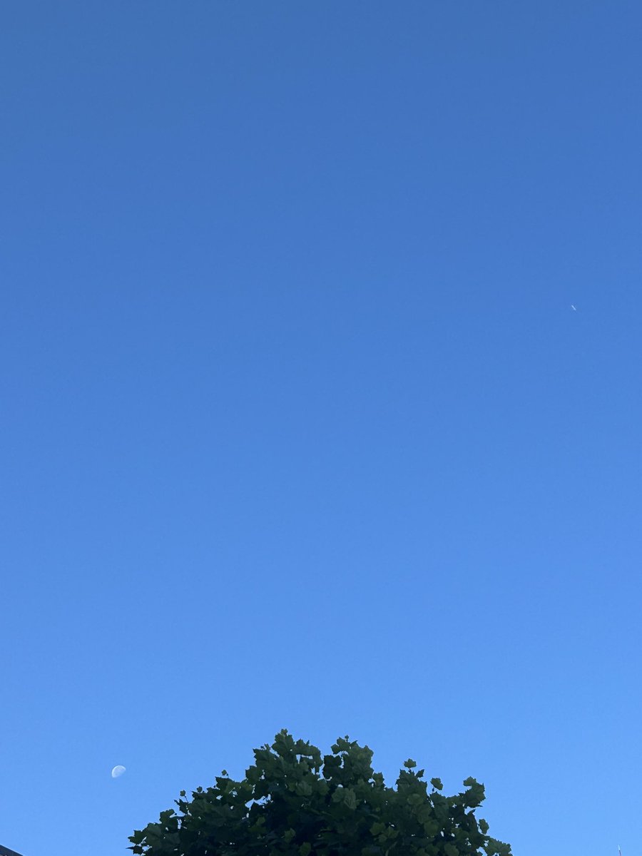 いい天気すぎ