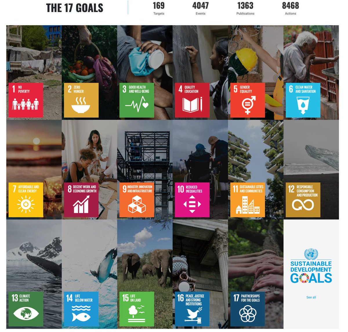 zeuscoineth_'s tweet photo. $ZEUS is evolving from memecoin to a mission-driven brand. We are leveraging our IP to deliver real-world impact, aligned with 'memes being for purpose'. ⚡️

🌱 Inspired by the @UN’s sustainable development goals, our efforts have already impacted 700+ dogs and counting, hitting the mark on:

• SDG 2: Zero Hunger
• SDG 15: Life on Land

This is just the beginning. Our long-term vision is to contribute meaningfully across all 17 Global Goals. 

One dog at the time. 🐾