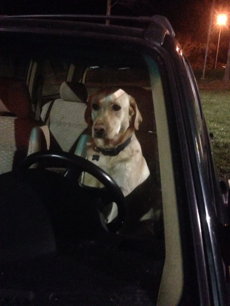 Yo en el carro esperando que deje de sonar mi canción favorita para bajarme: