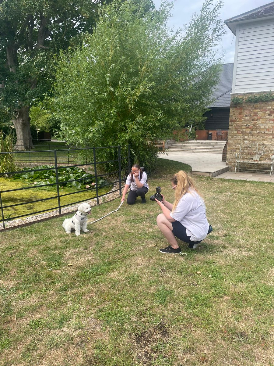 Behind the scenes!
#furrytailweddings