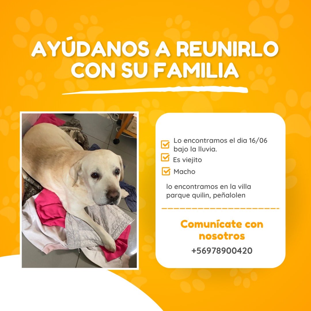 🆘🆘🆘 #Peñalolen 🐶 encontrado 🙏 Compartan ⁦<a href="/RoroAzul/">PeñalolenTV 💚👮#Republicano #UdeChile</a>⁩ ⁦<a href="/Se_Me_Perdio/">Mascotas perdidas 🐶😿🍀</a>⁩ 👇