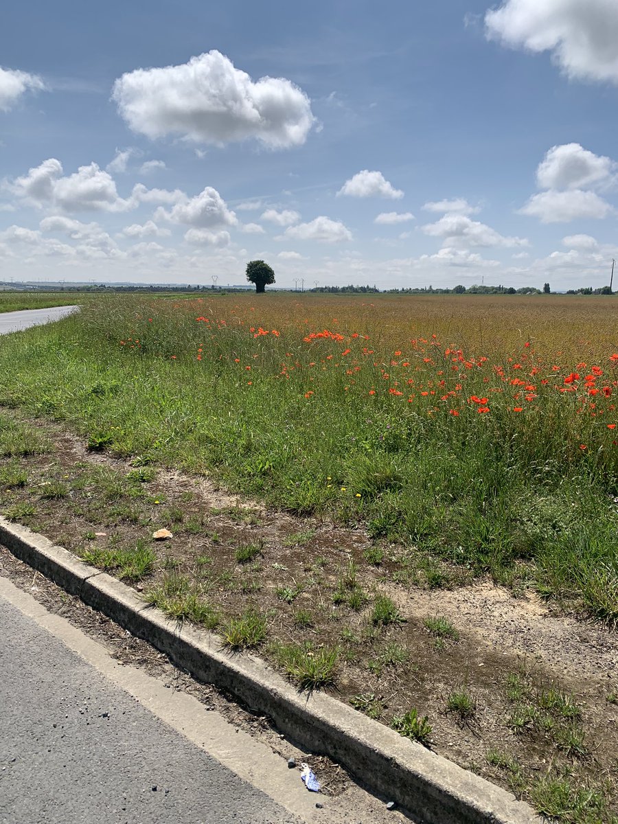Jeremy Banning (@jbanningww1) on Twitter photo Fabulous day on my latest <a href="/cyclingthefront/">Cycling the Battlefields</a> tour around Normandy with a group of ten looking at the fighting for Hill 112 & Canadian actions on Verrières Ridge. Riding today for <a href="/ProstateUK/">Prostate Cancer UK</a> Fabulous day on my latest <a href="/cyclingthefront/">Cycling the Battlefields</a> tour around Normandy with a group of ten looking at the fighting for Hill 112 & Canadian actions on Verrières Ridge. Riding today for <a href="/ProstateUK/">Prostate Cancer UK</a>
