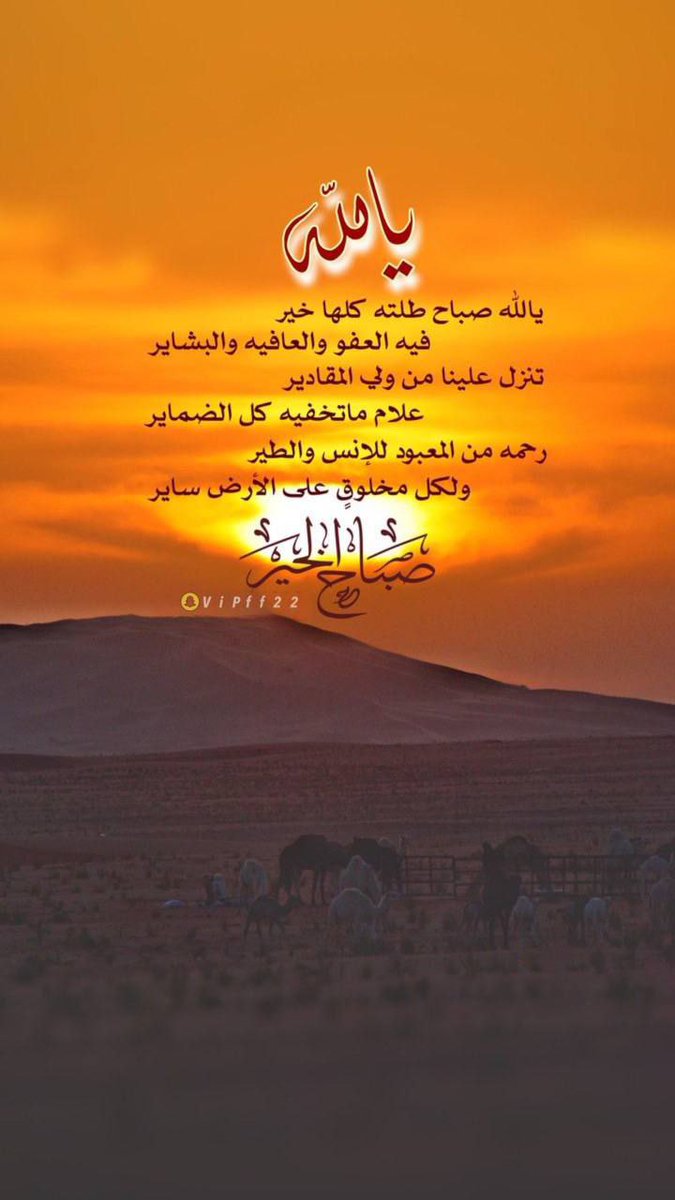 🌴صبـــــــــاحكم الله بكل خير وبركة 🌴