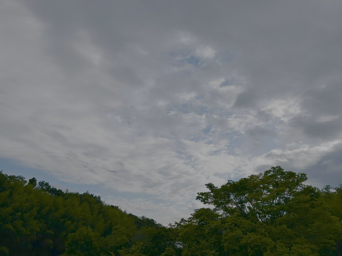 BOUR_BOOON's tweet photo. おはよーございます

只今気温25℃

今日は33℃まで暑くなる予報です

こまめな水分補給を🤗

#イマソラ
#上を向いて歩こう https://t.co/gOoKrHr0Mp