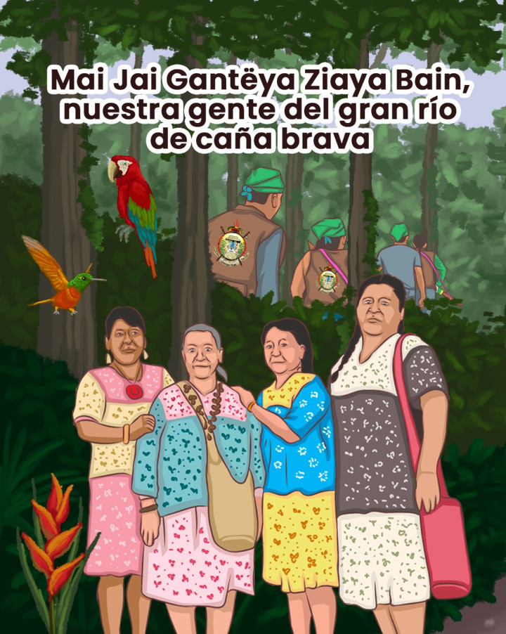 agendapropiaap's tweet image. #Historia | Los seres de la selva y del río Gantëya (Putumayo) lloran por las afectaciones espirituales, y por la contaminación ambiental y sonora que las petroleras han llevado al territorio del pueblo indígena Zio Bain (🇨🇴 y 🇪🇨).
Relato gráfico aquí: bit.ly/GenteZioBain