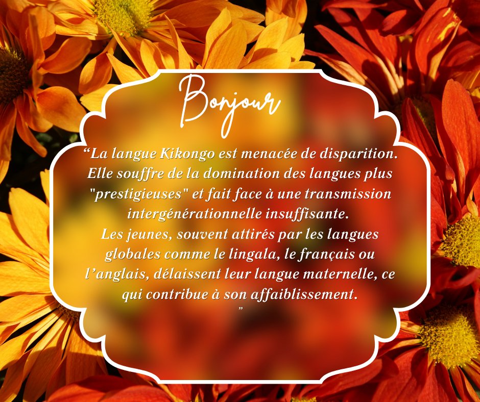 Radio Télé Kongo (@radiotelekongo) on Twitter photo 