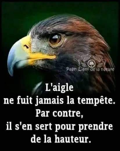 Diomandé Daouda 👁 (@diomdaouda10) on Twitter photo 