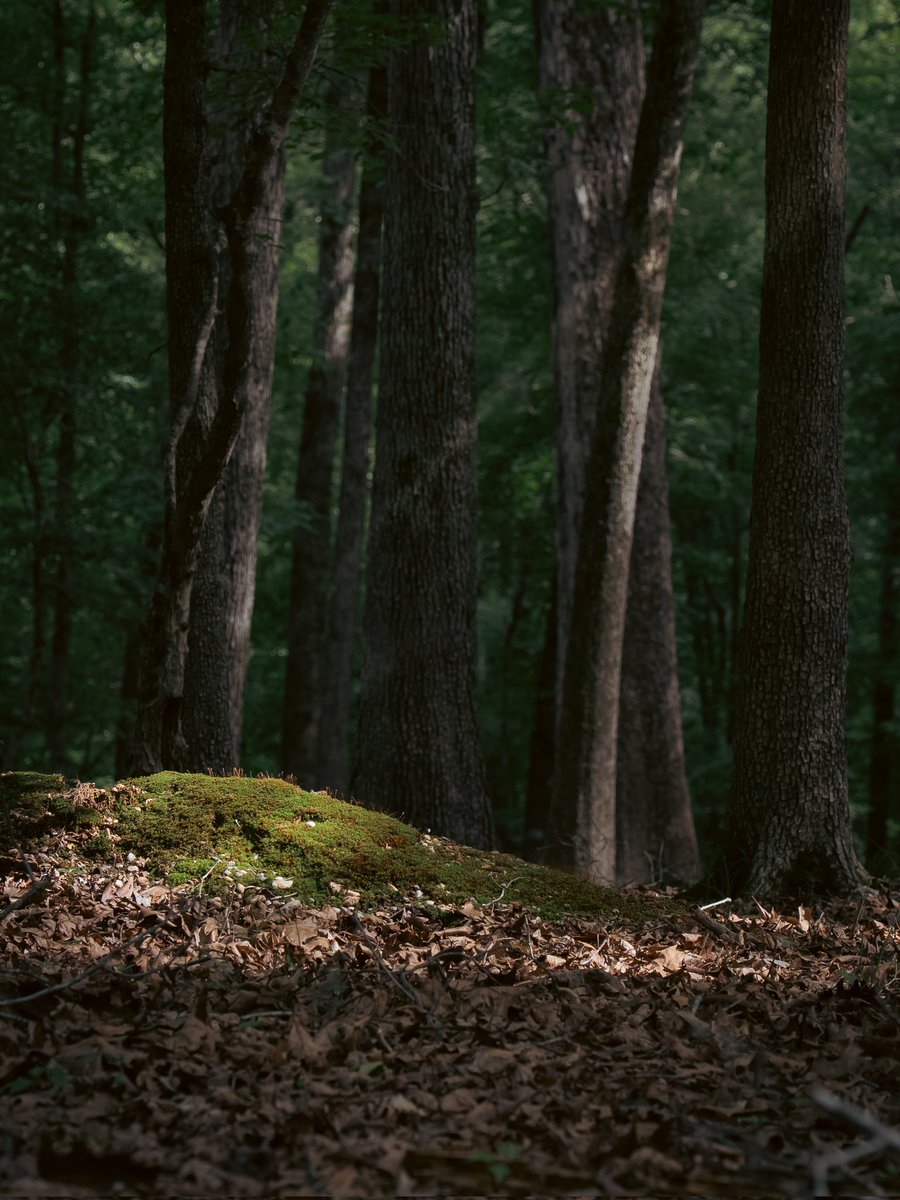 Eric Liffrig tweet media