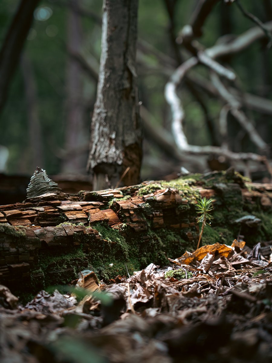 Eric Liffrig tweet media