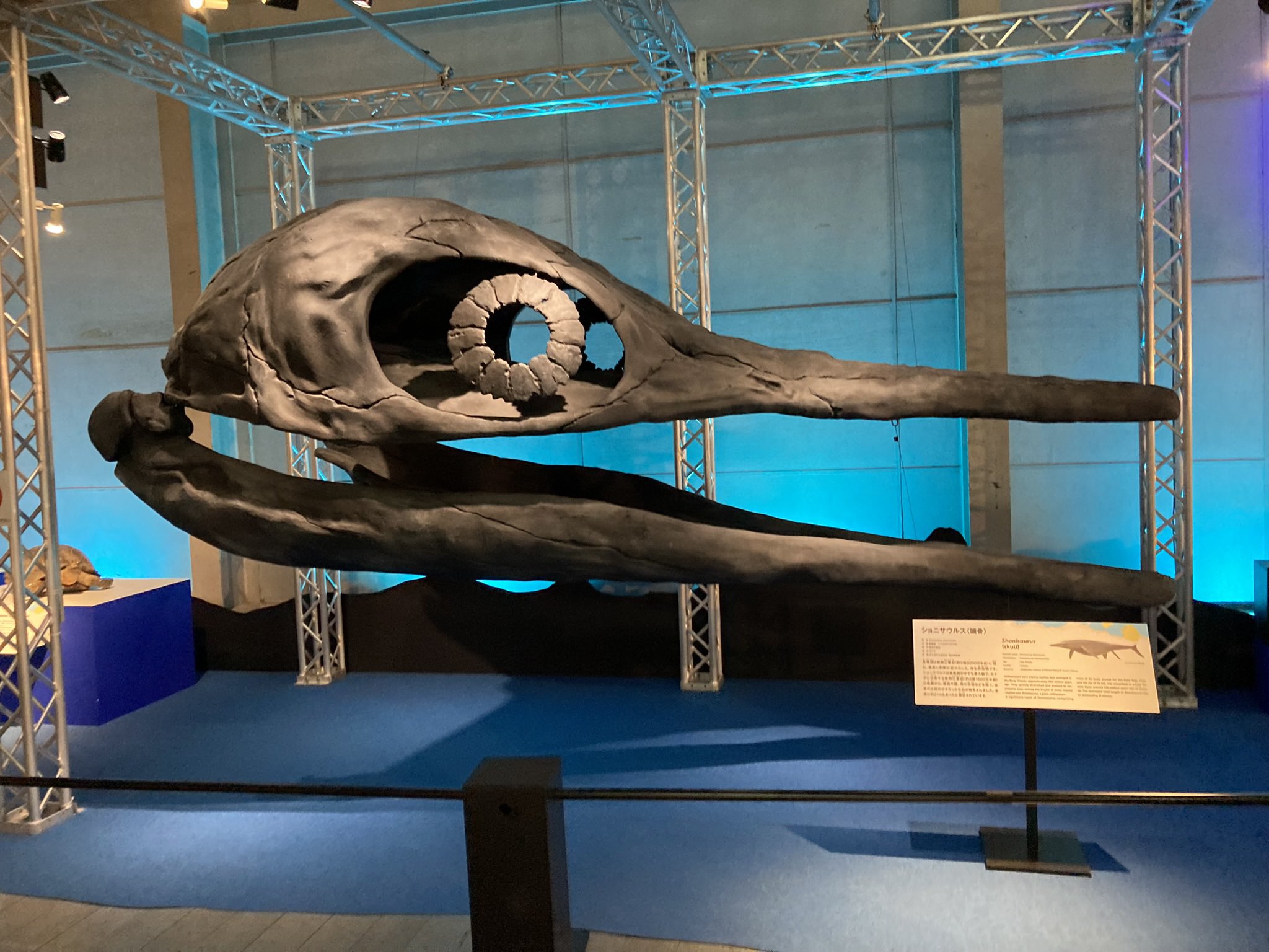 4363 外国切手 ガイアナ 1993年 恐竜 先史時代の爬虫類 12面入シート 4363 外国切手 ガイアナ 1993年 恐竜 先史時代の爬虫類 12面入