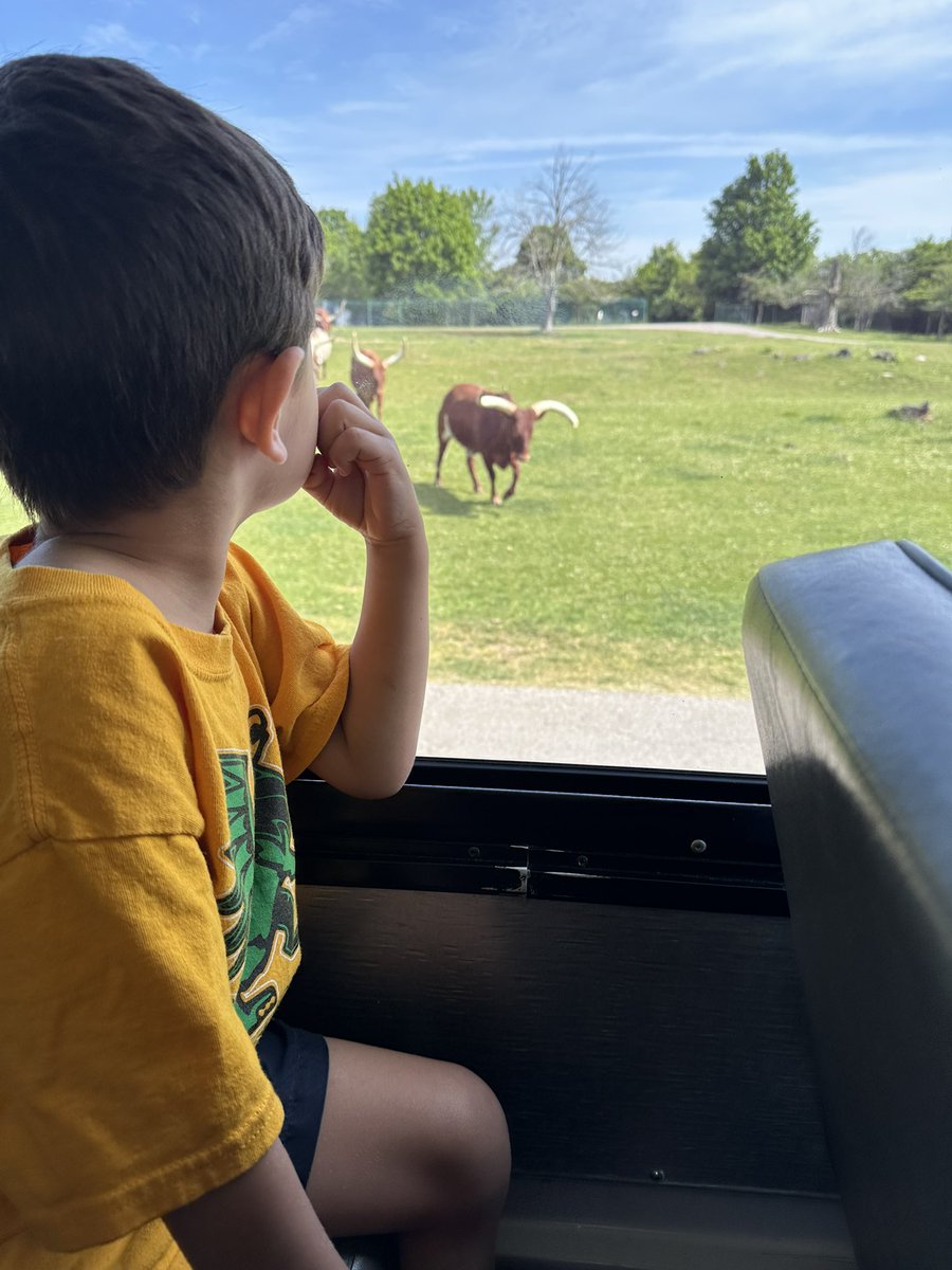 Miss.Elliott tweet media