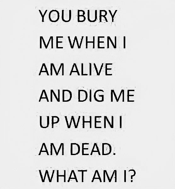 wendeeluvz's tweet image. 🤔 #RiddleMeThis 👇🏼💯🤣